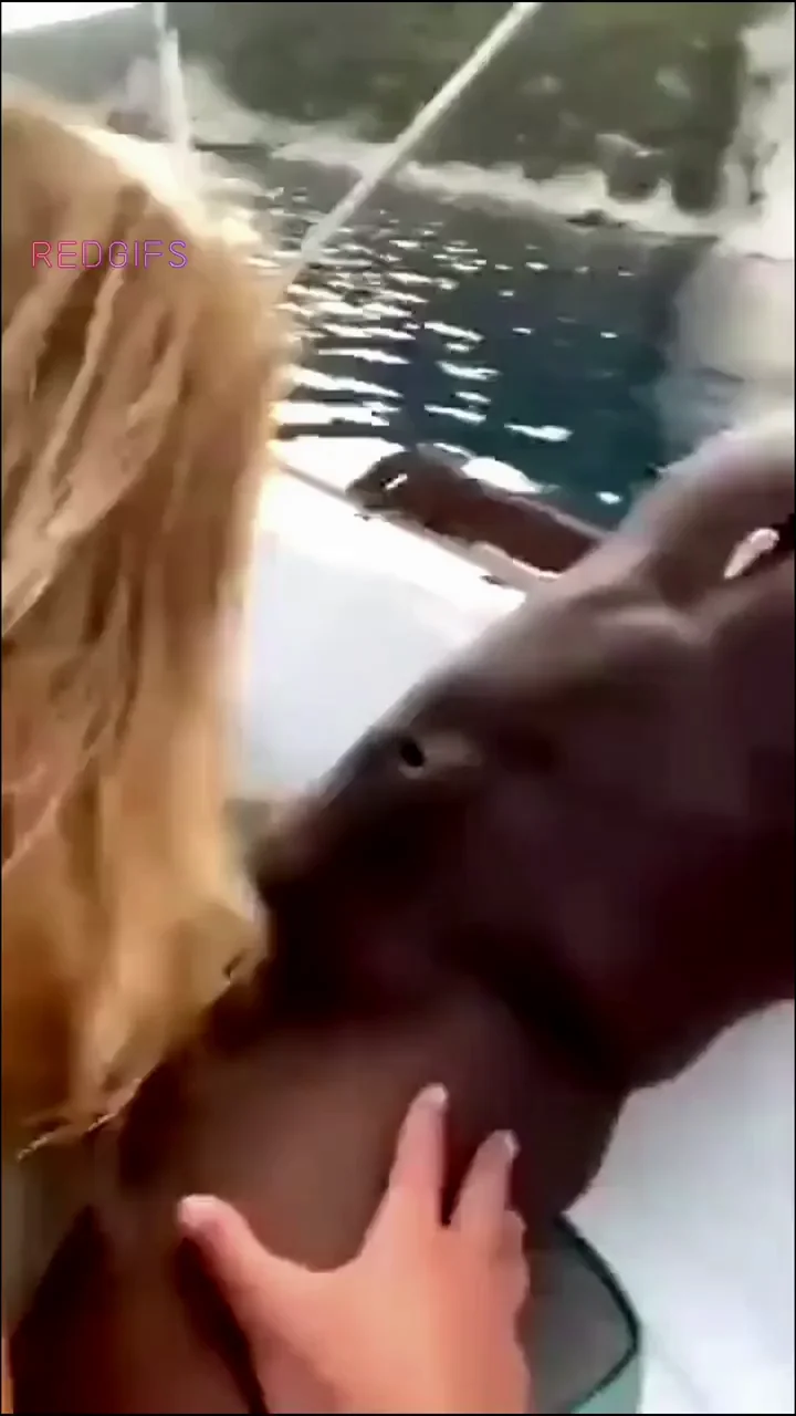 My bully wanted to let me know my wife is fine on the boat trip he took her on.