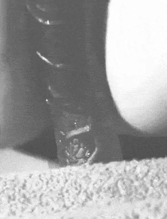 Thick Cock Tease on Fluffy Towel 💦🍆