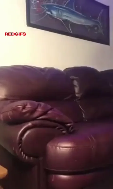 Intense doggystyle that drives her wild