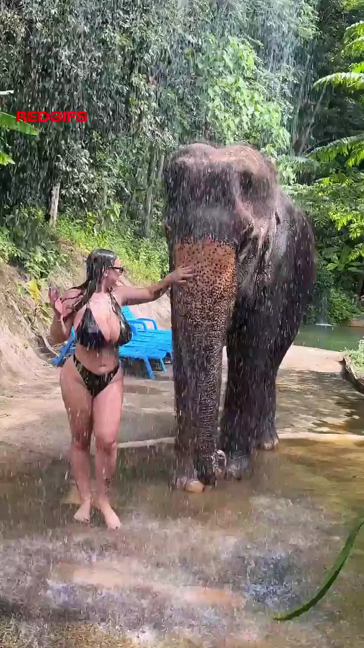 🌴 Tropical Bikini Babe Soaping Up That Massive Elephant Trunk 🍆💦
