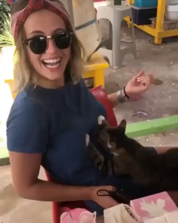 Purrrfect