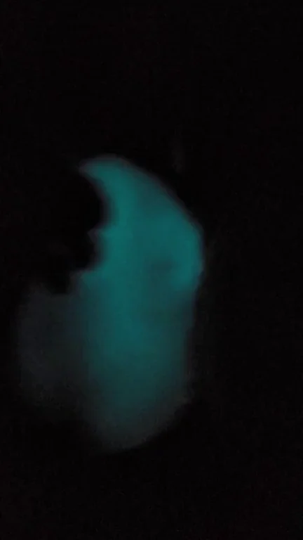 My Baron glows pretty nice, but feels even nicer! Cant complain about this late pregnancy libido. ?