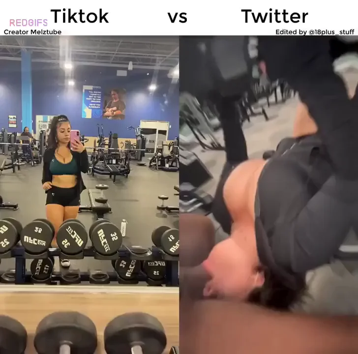 BBC GIF by tiktokversusreality