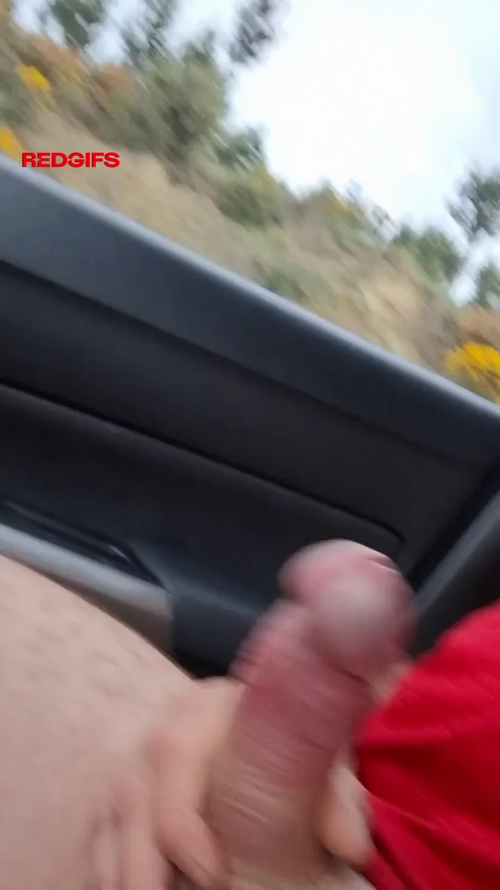 I love to bate in the car. Would you help me ?