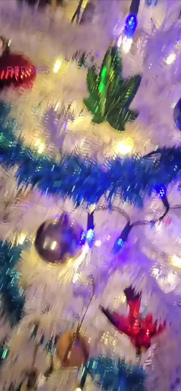 🎄 SugarBellz Rocks Monster Cock Around the Christmas Tree 💦🍆