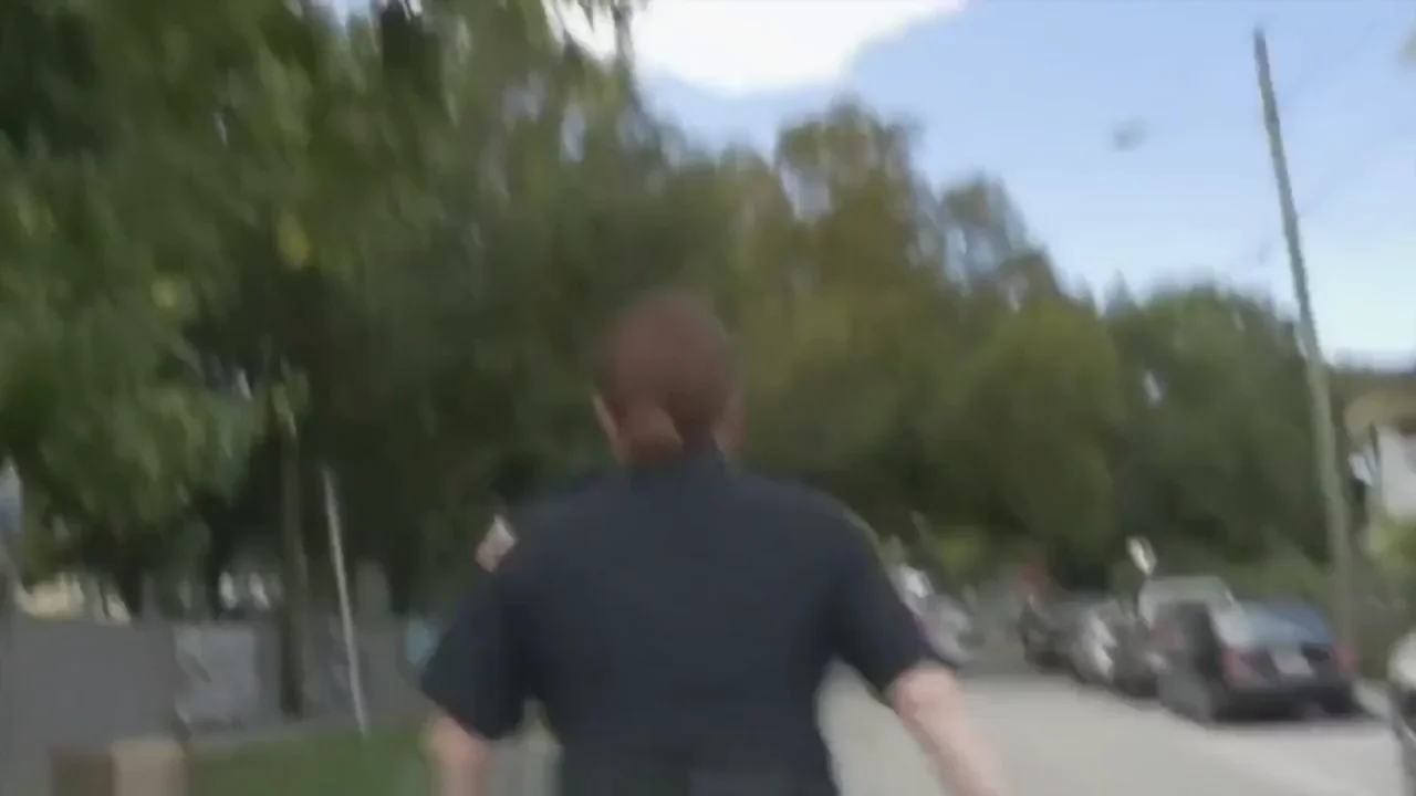 No wonder why the police is always chasing black people