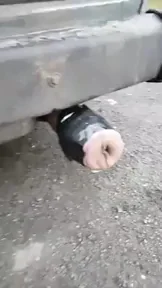 Hopefully not a repost