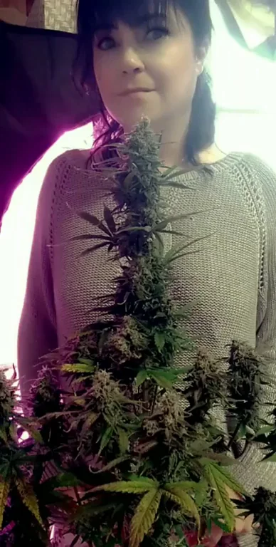 Fun (f)act: plants grow better with encouragement ?