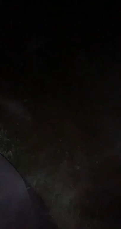 Steamy cock