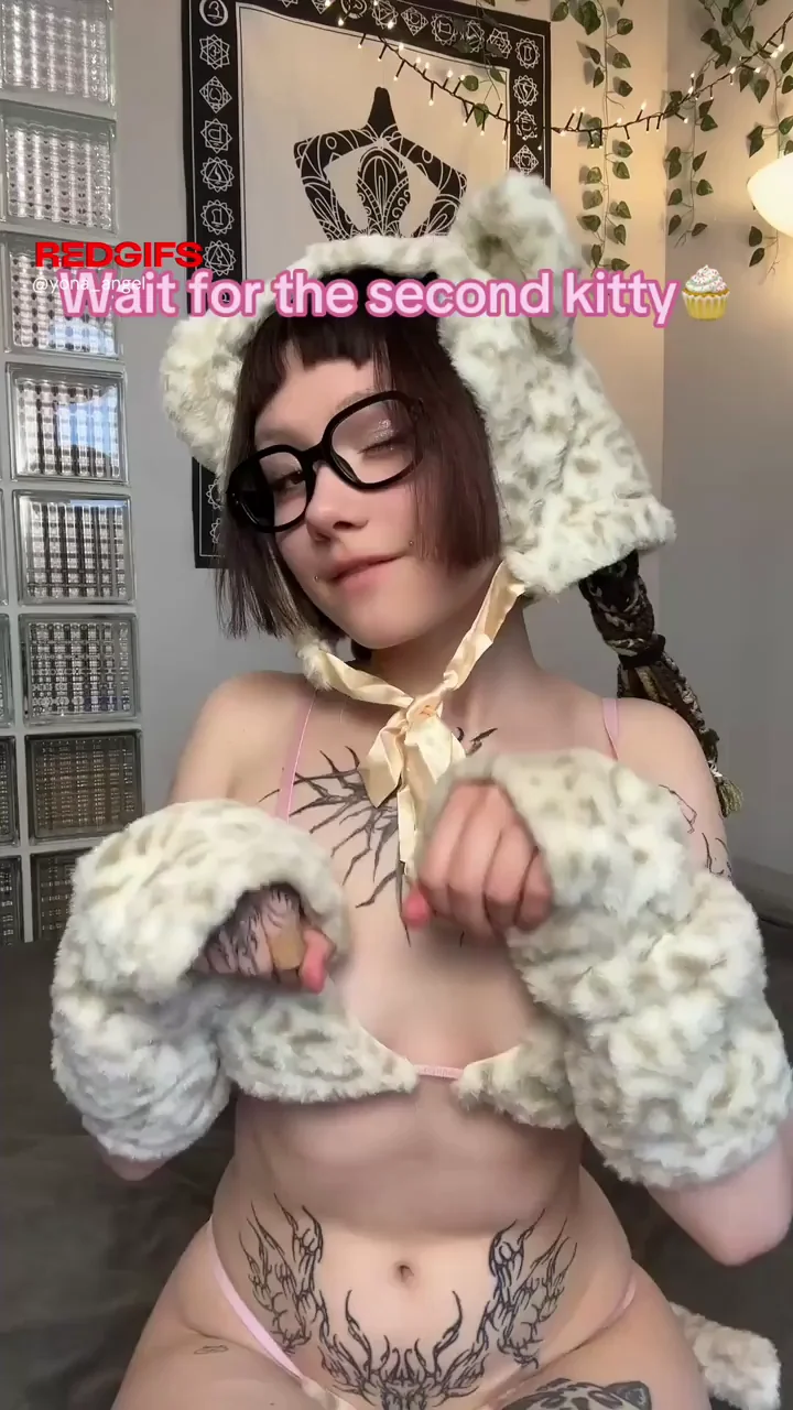 Fav kitty TikTok 💕