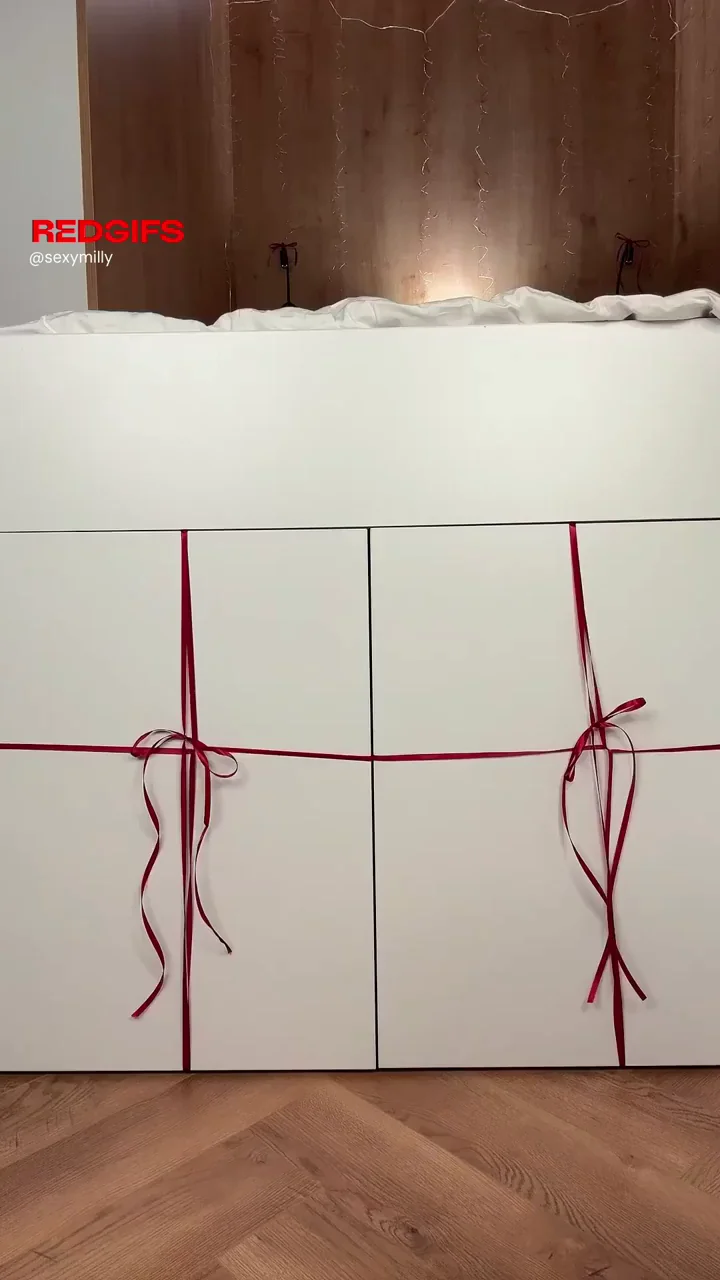 Sexy Christmas present