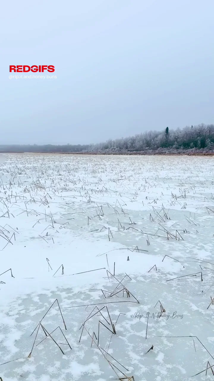 Can you help us find a good Ice Fishing spot out here?
