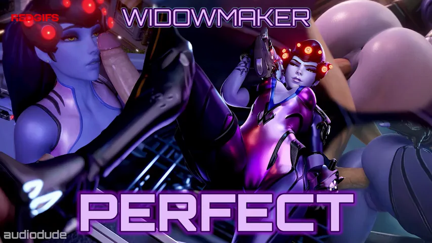Perfect Widowmaker - HMV  (Audiodude)