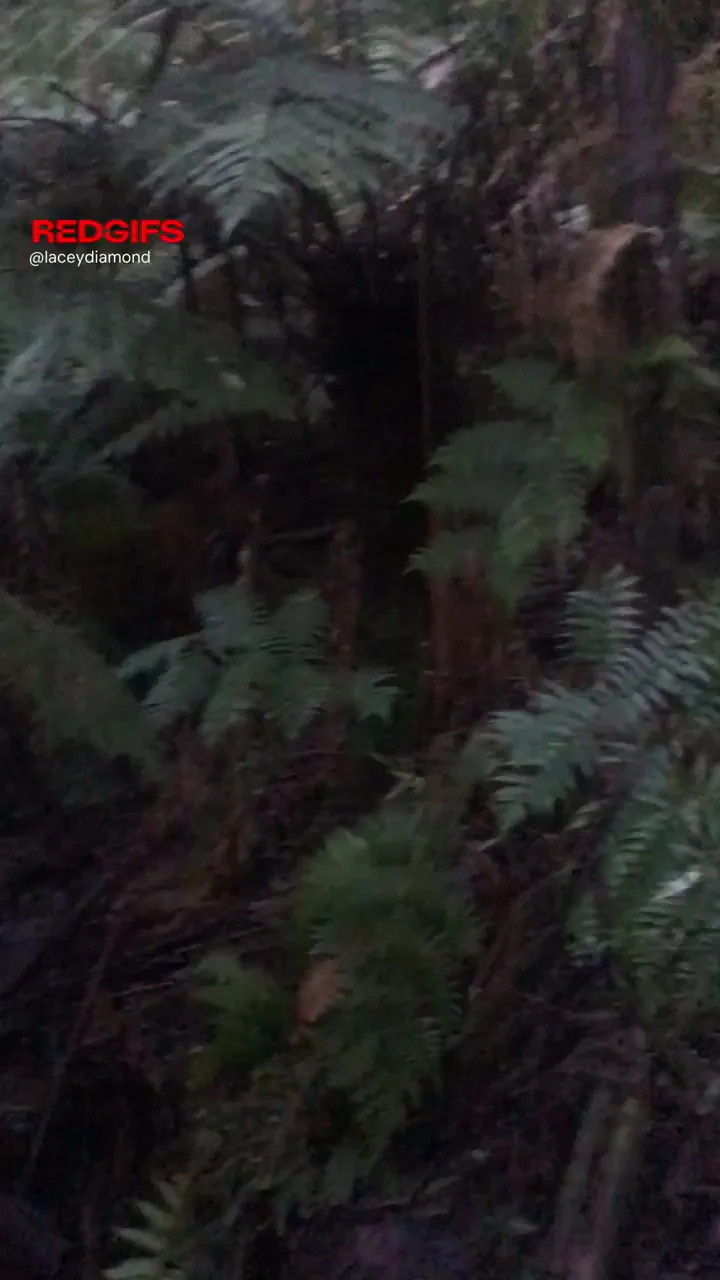 Got a little wild on my hike today... who's thirsty?