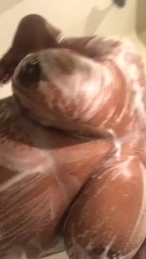 let's get wet