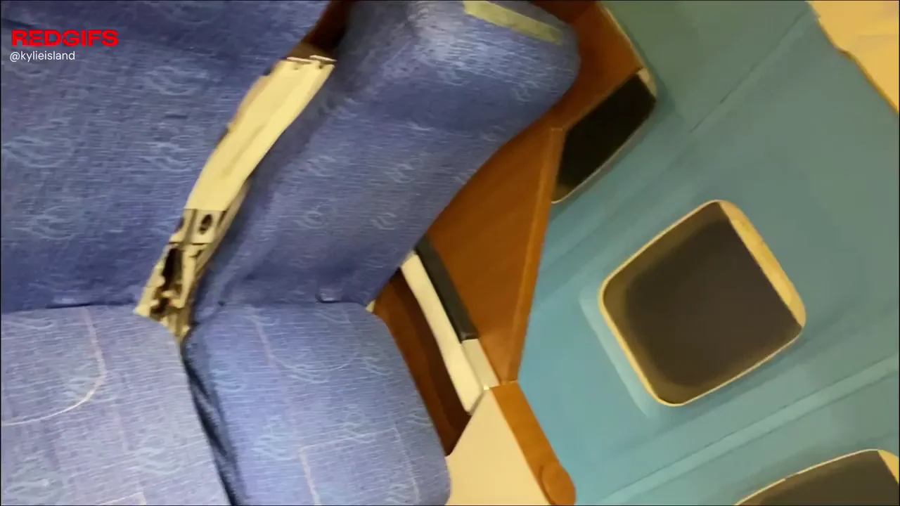 Step sister in the airplane