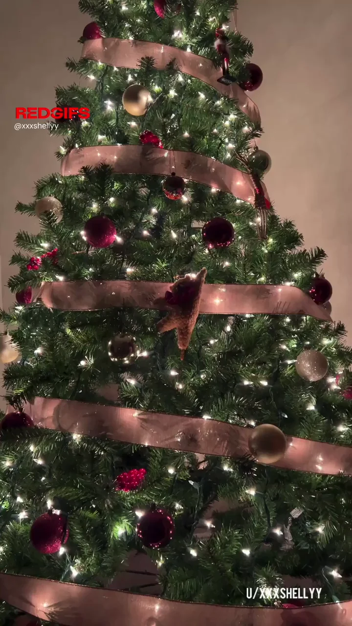 Are we in the holiday spirit yet?