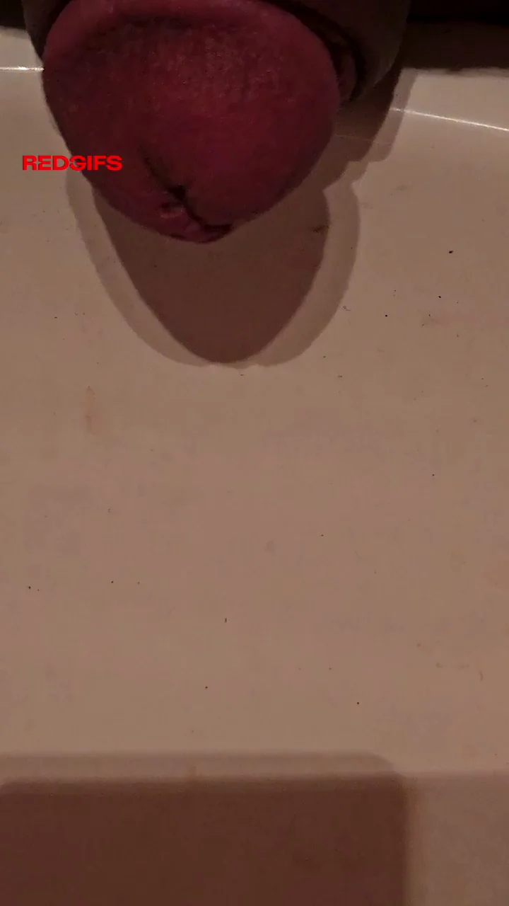 Amateur GIF by asdfdsaq Felt like a close up was needed