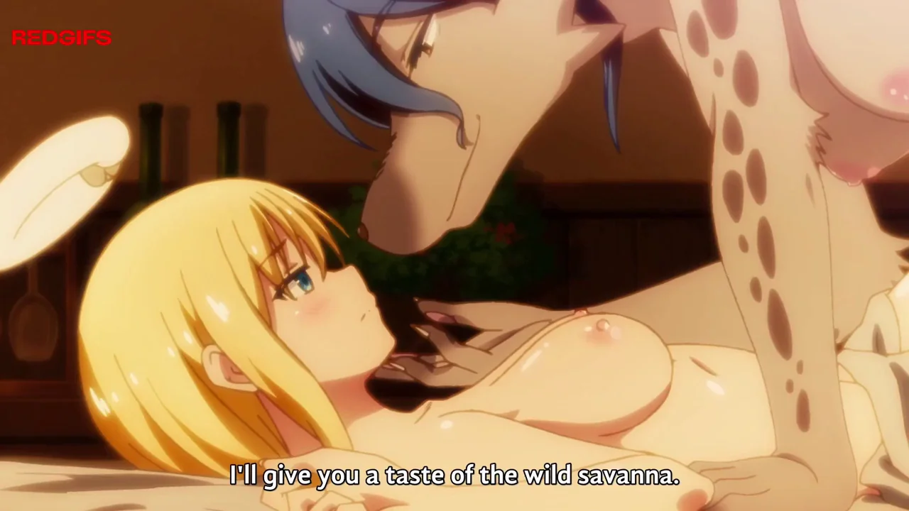 Where is this from
