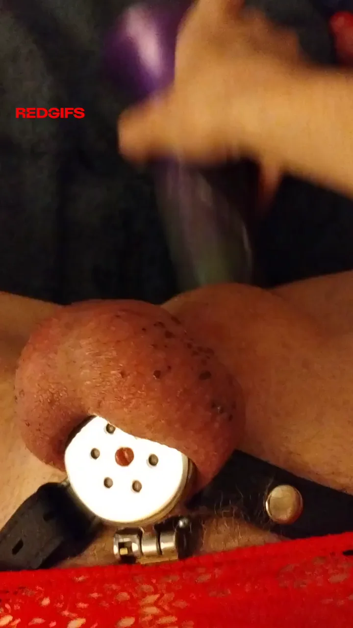 Chastity GIF by beardedsissynikki