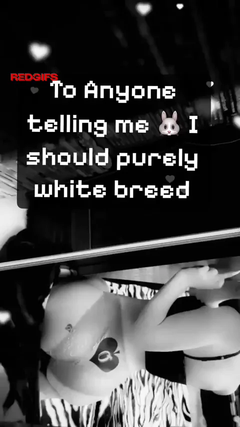 ♠️Born to be a blacked bunny 🐰