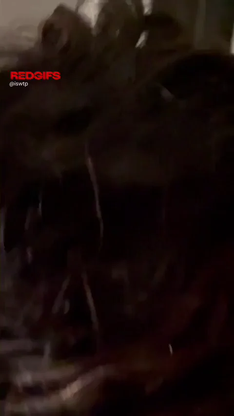 facefuck me and slap me