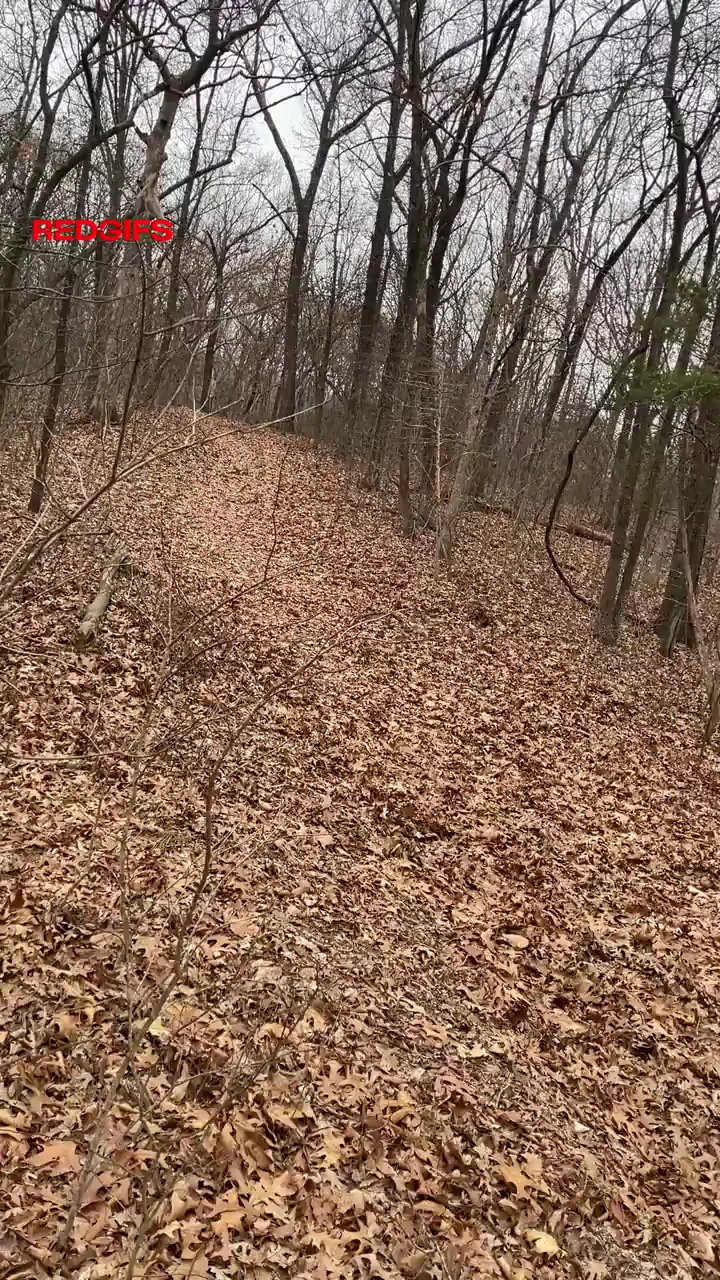 Just your local 7'3" giant enjoying rare early January hikes in the Midwest.