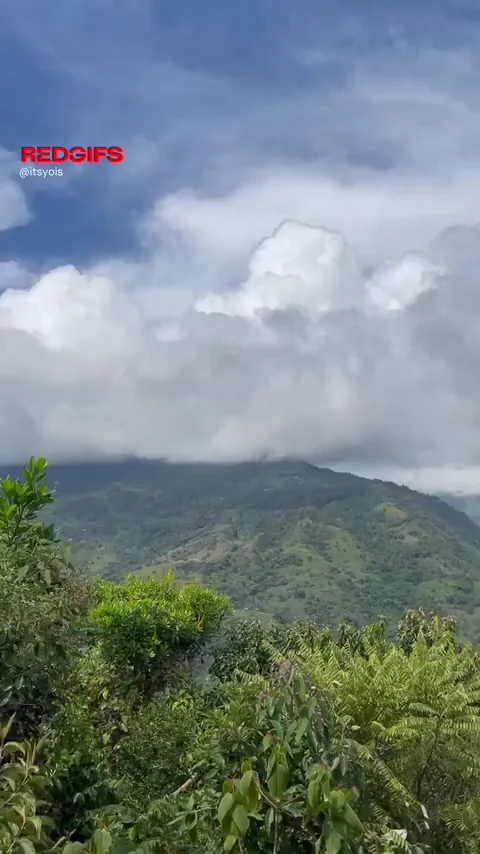 Want to be used here