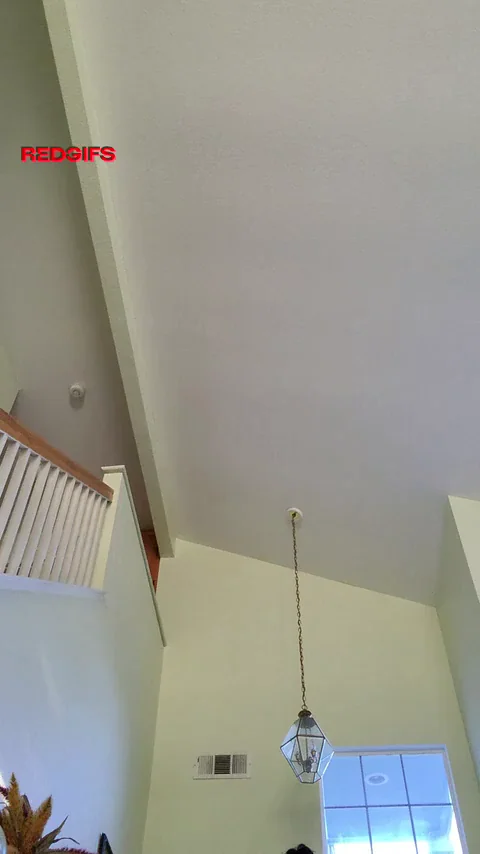 21 Bi At your service