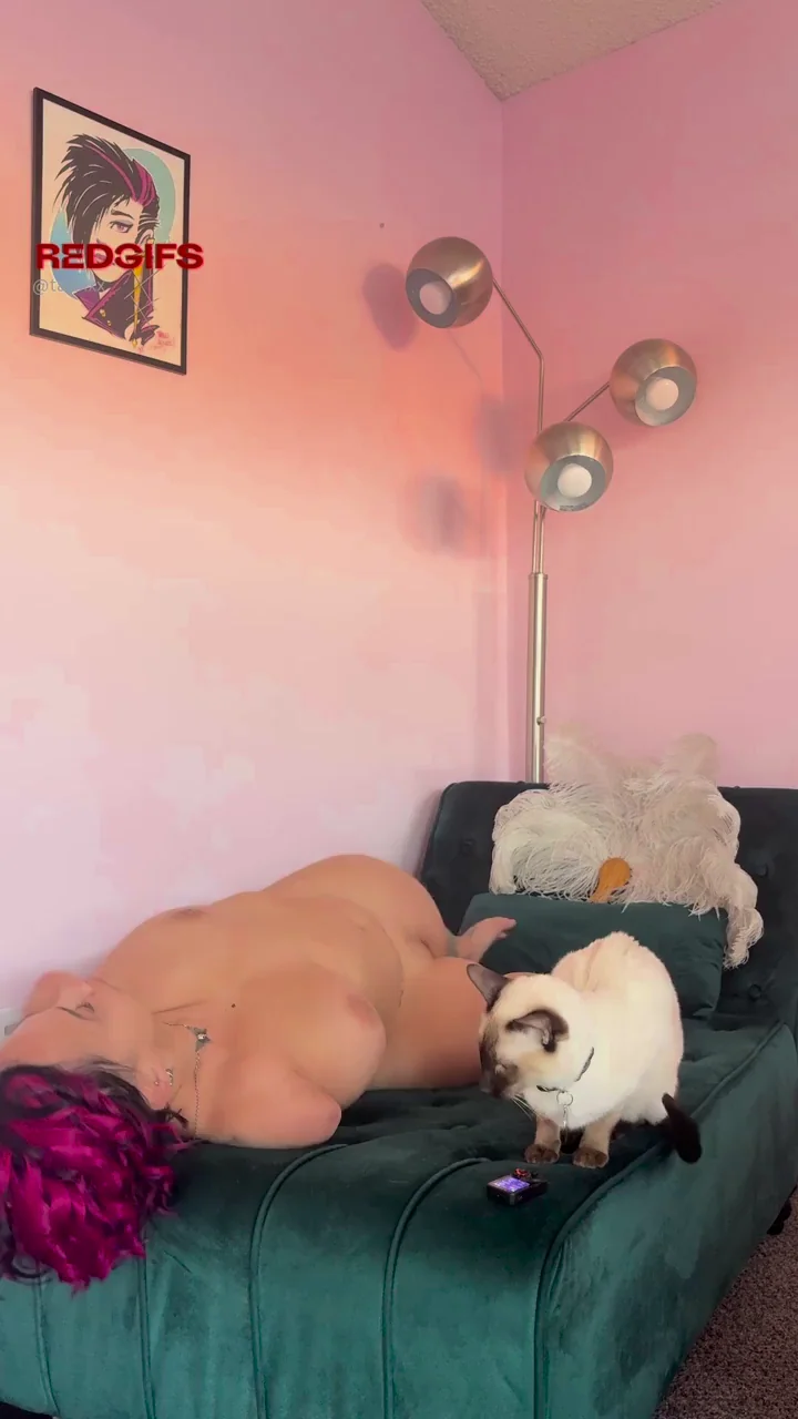 which pussy would you be touching first?