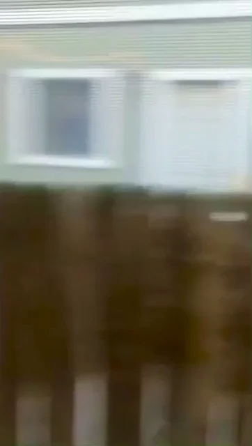 That’s a really big squirrel