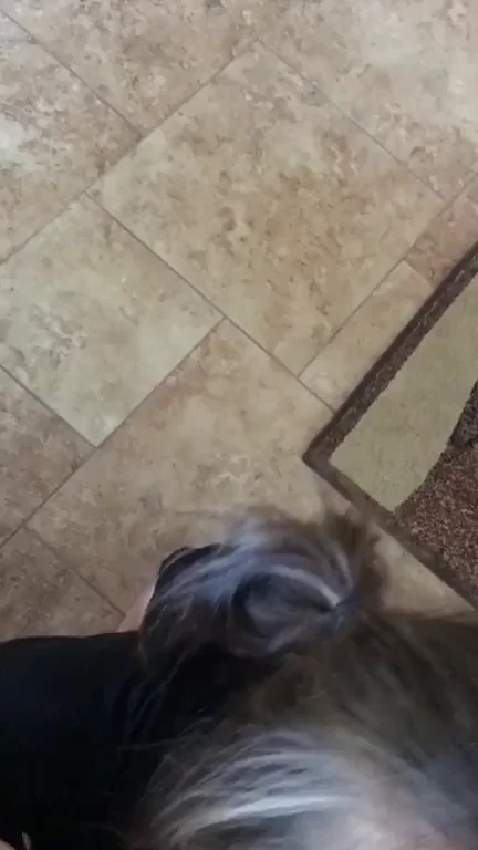 Lick up all that yummy cum!
