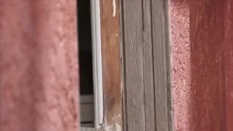 New Neighbor's Gloryhole BBC Slurp 😈🍆👅
