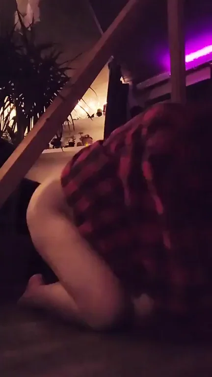 Who wants to spend a chill evening with Pink [F]loyd? [Pt. 2]