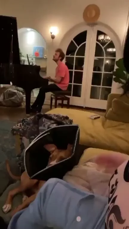 Billie Eilish's Juicy Tits Tease in Cozy Collar Vibes