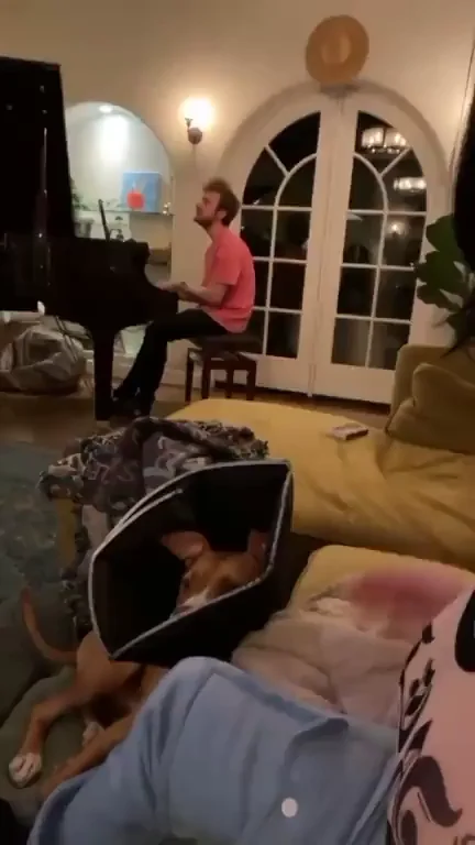 Billie Eilish smacking her tits