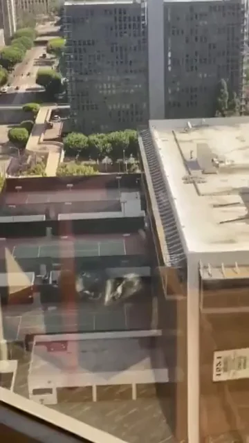 Exhibitionist Asian Slut Fucked by BBC Against Skyline Windows 😈🍑🌆