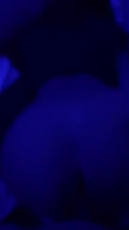 Sneaky Link With Big Ass Asian