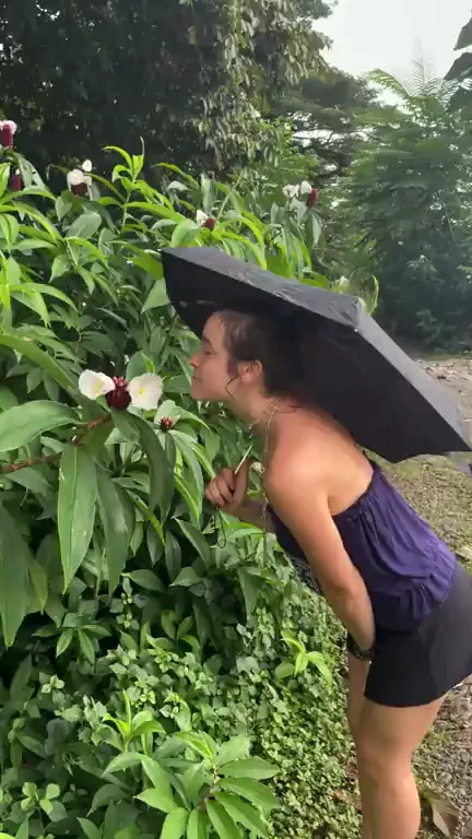 I love playing in the jungle.