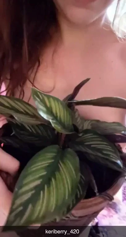 F/39 ? This is a prayer plant, and my naked body