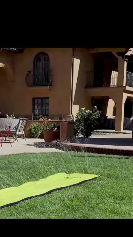 Slip 'N Slide