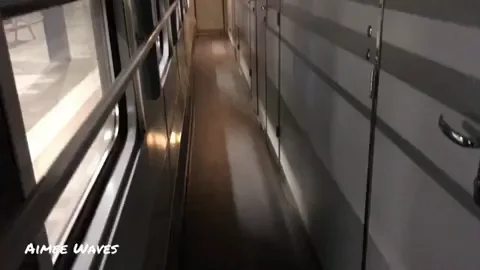 Fucking on the night train to Ukraine [oc] [gif]
