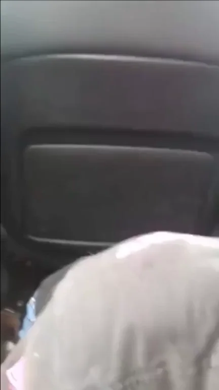 Big Cock Blowjob in Car