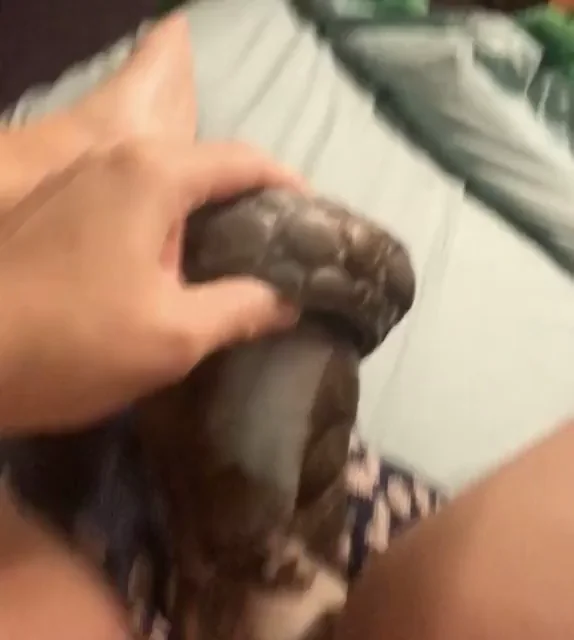 Stretching My Pussy with the Massive New Nox Dragon Dildo 🐉🍆💦