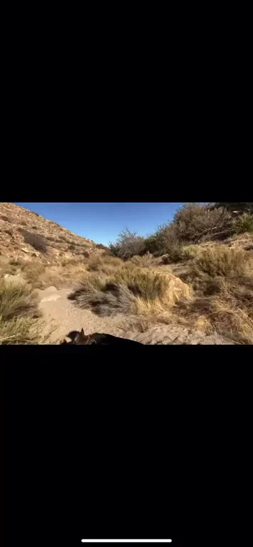 Tits out on a public trail