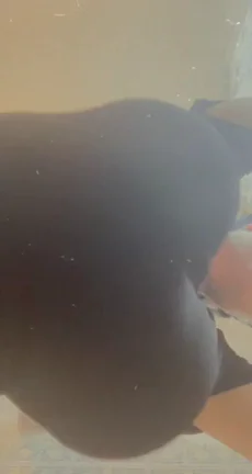 Arguably the best angle ?