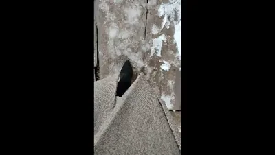 Walking with a butt plug