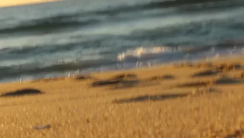 One more naked dive!