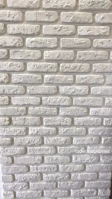 TikTok Banned Me for This Slutty Tease 😈📱