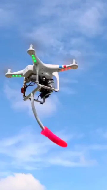 RC Drone dildo